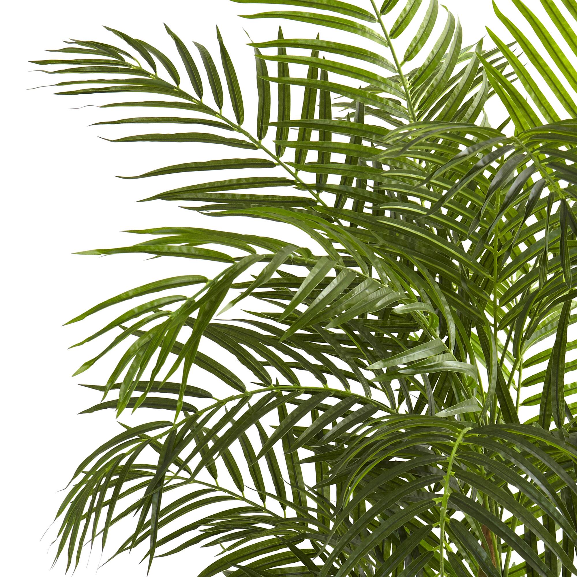 4.5ft. Potted Areca Palm